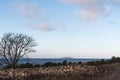 View at the swedish national park Bla Jungfrun