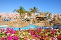 The view on swimming pool at luxury hotel (flowers are in focus), Sharm el Sheikh, Egypt Royalty Free Stock Photo