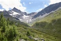 View of swiss alps panorama from Bernina express train Royalty Free Stock Photo