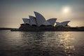 Sydney Opera House bathed in sunshine at dusk Royalty Free Stock Photo