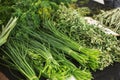 variety of herbs, chive, oregano, farmers market