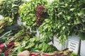 variety of fresh vegetables, farmers market Royalty Free Stock Photo