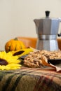 View of table with green plaid blanket with cookies, coffee pot, flowers and pumpkins, selective focus, white background, Royalty Free Stock Photo