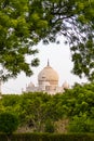 A View of Taj Mahal Royalty Free Stock Photo