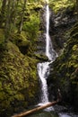 Tall majestic waterfall cascading down a mountain cliff. Royalty Free Stock Photo