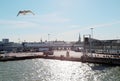 View of the Tallinn embankment with a berth for mooring sea liners and a seagull in the sunlight.