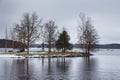 View of the Tallisaari Island on the frozen lake, Savonlinna, Finland.