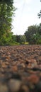 A view of a tarmac road in a green environment in Sri Lanka on a dark falling evening. Royalty Free Stock Photo