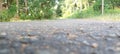 A view of a tarmac road in a rural environment with trees in Sri Lanka on a sunny evening. Royalty Free Stock Photo