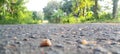 A view of a tarmac road in a rural green environment with sand and small stones in Sri Lanka. Royalty Free Stock Photo
