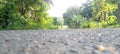 A view of a tarmac road in a rural green environment in Sri Lanka. Royalty Free Stock Photo