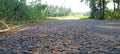 A view of a tarmac road at sunset in a rural setting in Sri Lanka. Clear blue sky, grass and many other plants can be seen Royalty Free Stock Photo