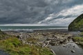 Black sand beach and driftwood at Whitecliffs, New Zealand