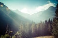 View of Tatra Mountains from hiking trail. Poland. Europe. Royalty Free Stock Photo