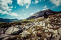 View of Tatra Mountains from hiking trail. Poland. Europe. Royalty Free Stock Photo