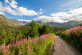 View of the Tatras mountains and colorful flowers in Gasienicowa valley