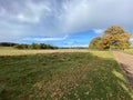 A view of Tatton Park in the Autumn sunshine