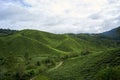 View of tea plantation during the day in Cameron Highland, Malaysia Royalty Free Stock Photo