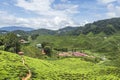 The view of tea plantation with people working at Bharat Tea Plantation in Cameron Highlands, Malaysia.