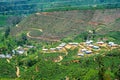 The view of Tea plantation of Sri Lanka Royalty Free Stock Photo