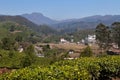 View of tea plantation valley in Munnar Royalty Free Stock Photo