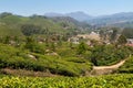 View of tea plantation valley in Munnar Royalty Free Stock Photo