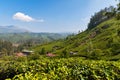 View of tea plantation valley in Munnar Royalty Free Stock Photo