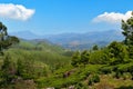 View of tea plantation valley in Munnar Royalty Free Stock Photo