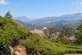 View of tea plantation valley in Munnar Royalty Free Stock Photo