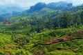 View of tea plantation valley in Munnar Royalty Free Stock Photo