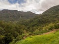 View for the tea plantation Royalty Free Stock Photo