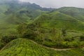 View of a tea plantations in the Cameron Highlands, Malays Royalty Free Stock Photo