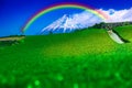 The view of the tea plantations and Mount Fuji has a rainbow as seen from Fuji City, Shizuoka Prefecture, Japan Royalty Free Stock Photo