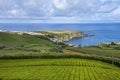 View of the tea plantations and Porto Formoso, Sao Miguel island, Azores, Portugal