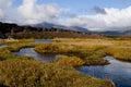 View of the tectonic plates