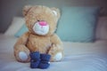 View of teddy bear and baby socks Royalty Free Stock Photo