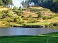 A view from the tee box of a beautiful island green par 3 surrounded by water at a golf course outside of Victoria Royalty Free Stock Photo