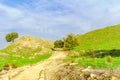 View of the Tel Megiddo National Park