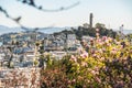 View of the Telegraph Hill tower from Lombard Street region, San Francisco, California, USA Royalty Free Stock Photo