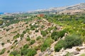 View on Temple on Concordia in Valley of Temples Royalty Free Stock Photo