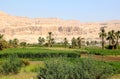 View on the Temple of Hatshepsut.