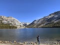 The beautiful Tenaya Lake located on the Tioga Pass, the road through Yosemite National Park Royalty Free Stock Photo