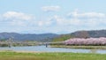 View of Tenshochi Park in Iwate Prefecture,Japan is famous for t Royalty Free Stock Photo