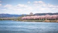 View of Tenshochi Park in Iwate Prefecture,Japan is famous for t Royalty Free Stock Photo