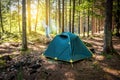 tent on meadow in forest at sunrise. Tourist tent in forest with sunbeams at campsite Royalty Free Stock Photo