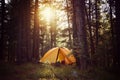 View of tent on meadow in forest at sunrise. Royalty Free Stock Photo