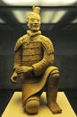 View of the Terracotta Army Soldier and horse funerary statues Royalty Free Stock Photo