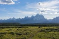 A view of the Teton Range mountains with a bison feeding Royalty Free Stock Photo