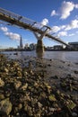 View from the Thames Shore in London