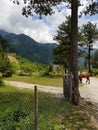 View of Theth village in Shkoder, Albania